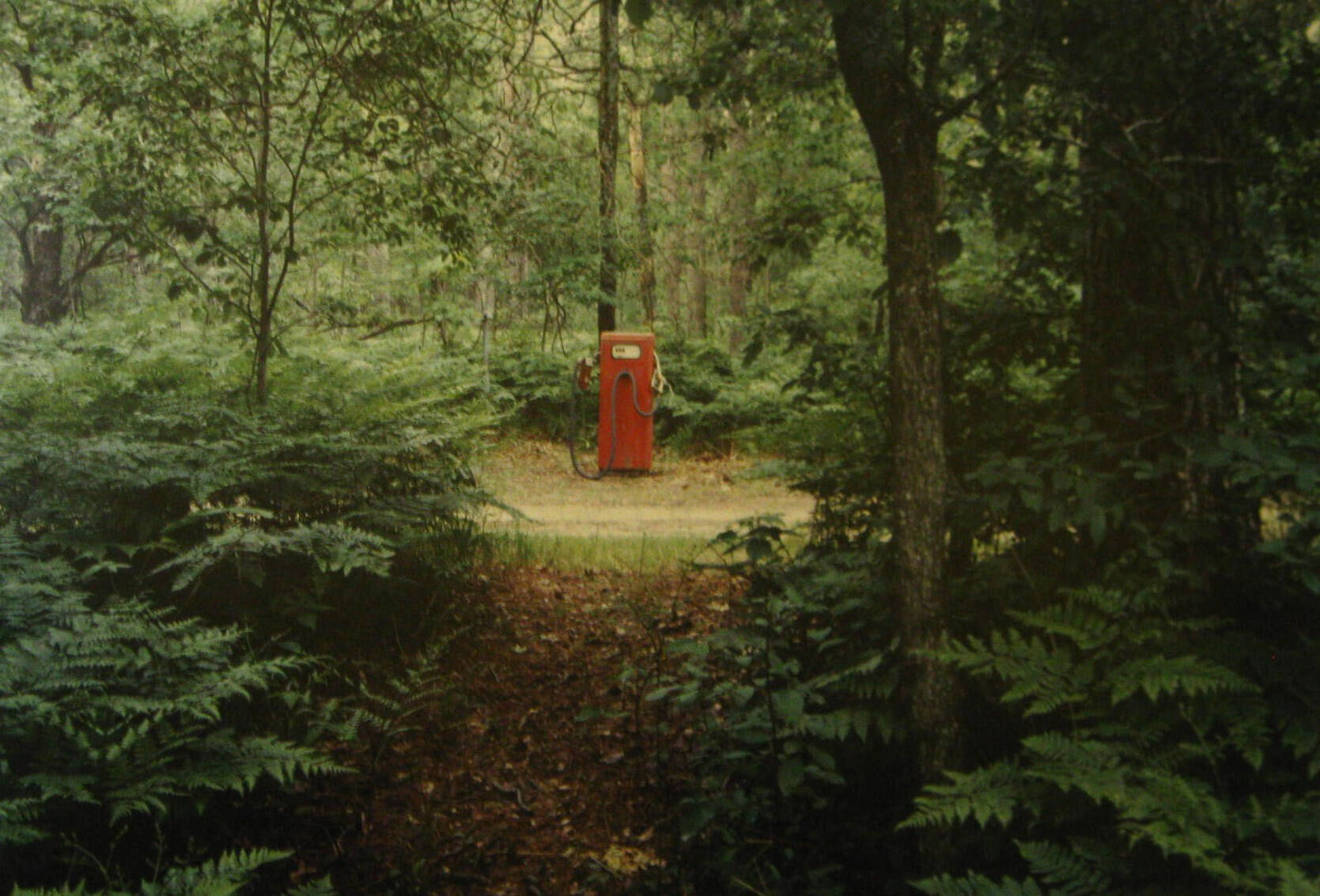 Color photograph of a bright red gas pump sitting in a clearing, surrounded by trees.
